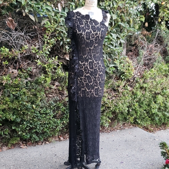 Beautiful Elizabeth Michaels French Lace Dress - Picture 1 of 15
